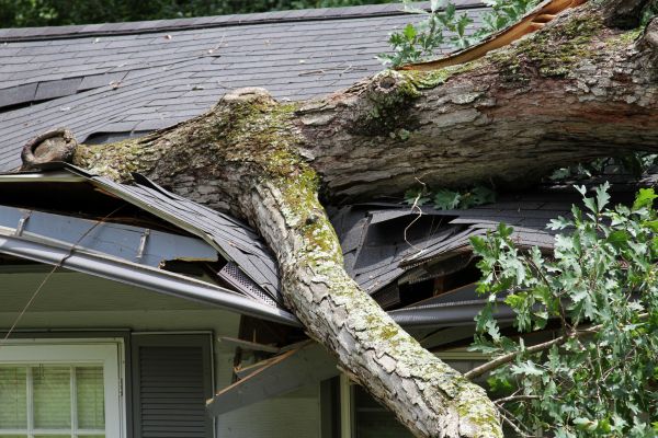 Storm Remediation in Red Oak