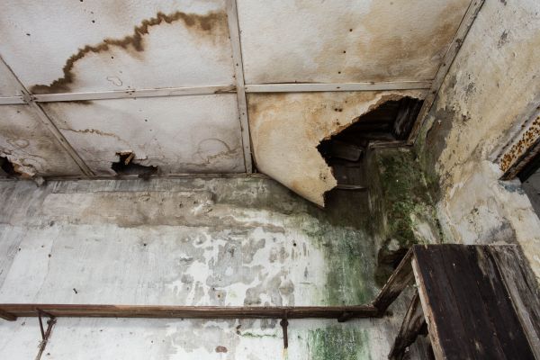 Water Damage Service in Red Oak