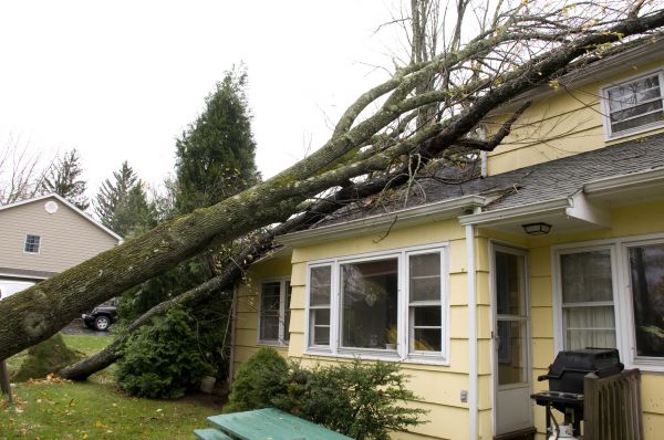 Hurricane Damage Repair in Red Oak